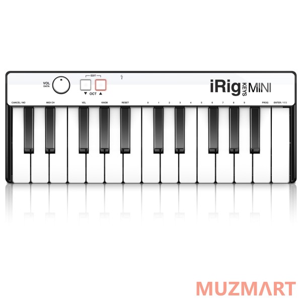IK Multimedia IRIG KEYS MINI MIDI-клавиатура