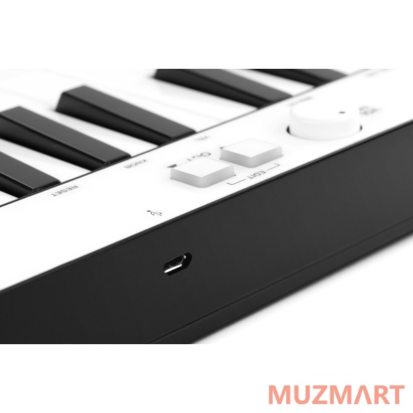 IK Multimedia IRIG KEYS MINI MIDI-клавиатура