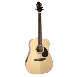 Greg Bennett GD100RS/N Гитара акустическая