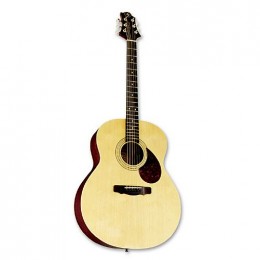 Greg Bennett GJ100S/N Гитара акустическая
