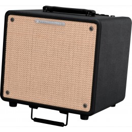 Ibanez T80II TROUBADOUR ACOUSTIC COMBO Комбо для акустической гитары