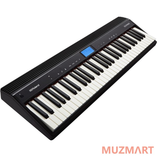 Roland GO-61P Синтезатор
