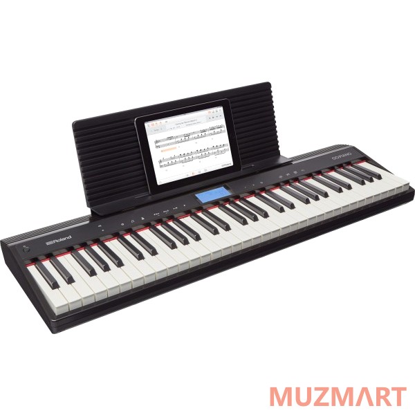 Roland GO-61P Синтезатор