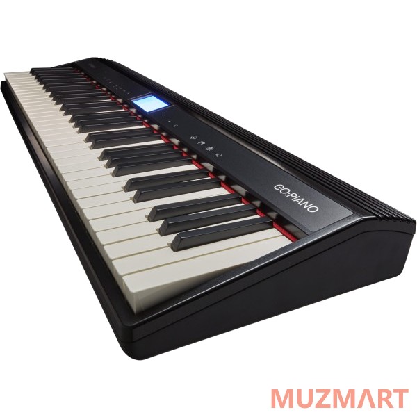 Roland GO-61P Синтезатор