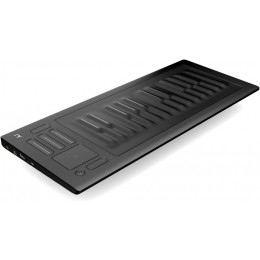 ROLI RISE 25 Клавишный инструмент